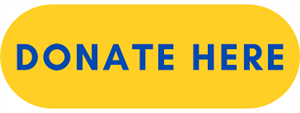 donate now